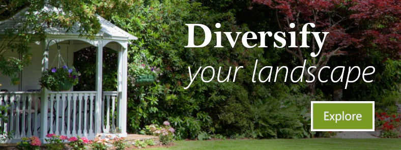 diversify your landscape