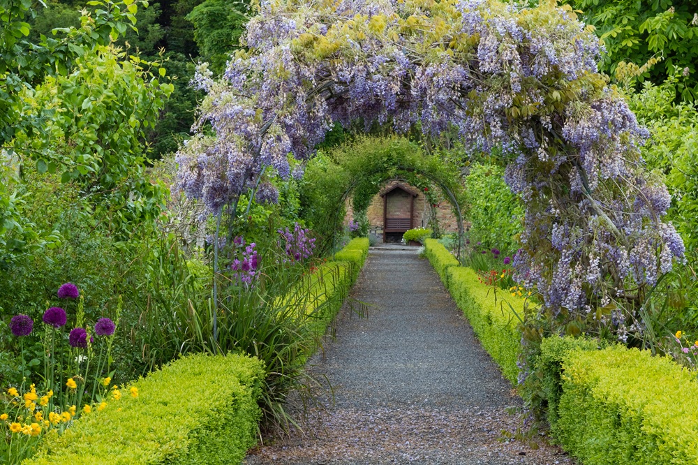 10 Inspiring Garden Arch Ideas for Every Outdoor Space