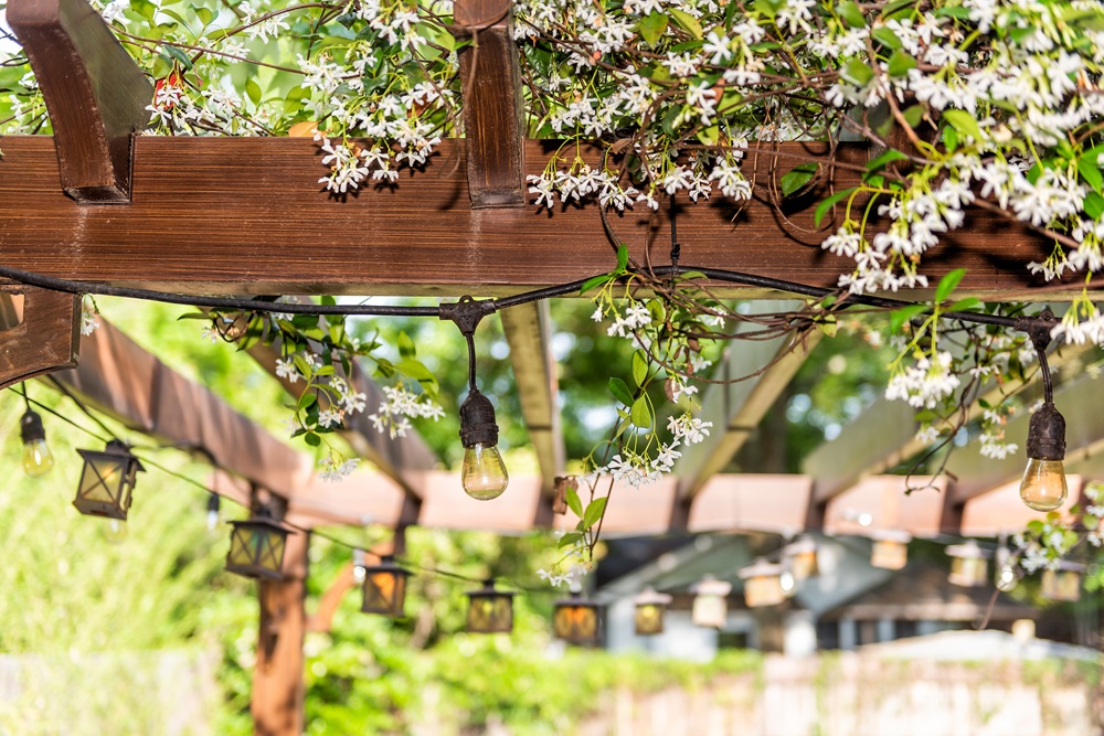 Creative Garden Pergola Ideas to Transform Your Backyard