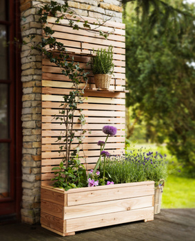 Piano Larix Planter (Fast Delivery)