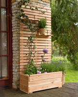 Piano Larix Planter (Fast Delivery)