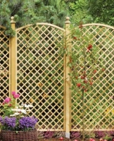 English Trellis with Convex Arch