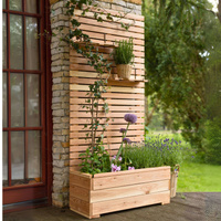 Piano Larix Planter (Fast Delivery)