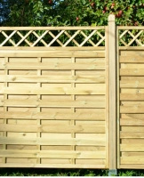 Hamburg Simple Fence with Trellis